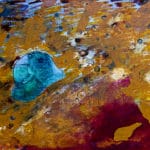 Syncope, documentaire installatie van 50 schilderijen van Marcel van Kerkvoorde over geschiedenis, educatie en erfgoed, Fort bij Asperen 2018.