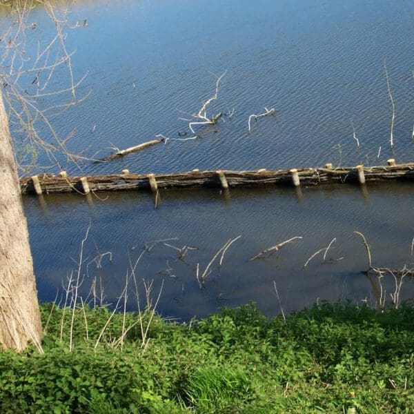 Kunstfort voor de restauratie