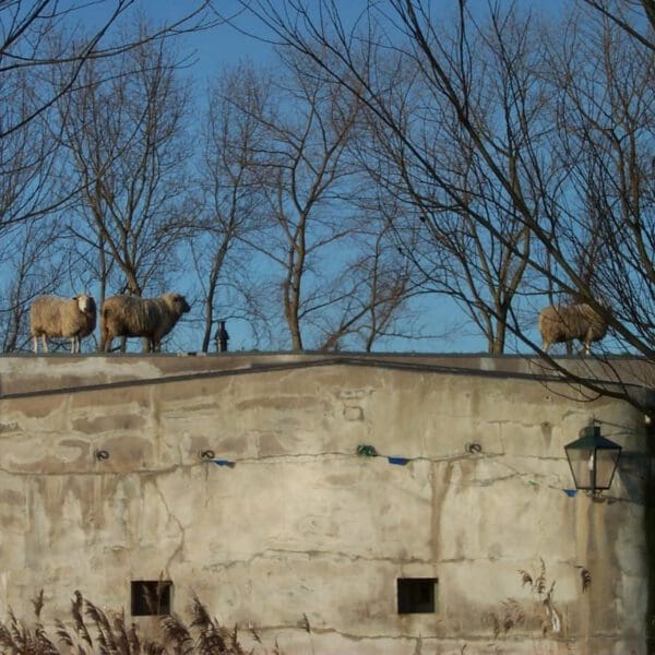 Kunstfort voor restauratie