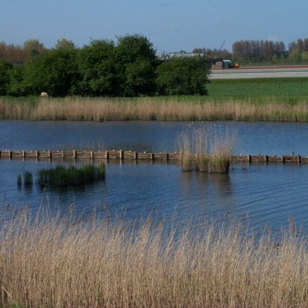 Kunstfort voor de restauratie