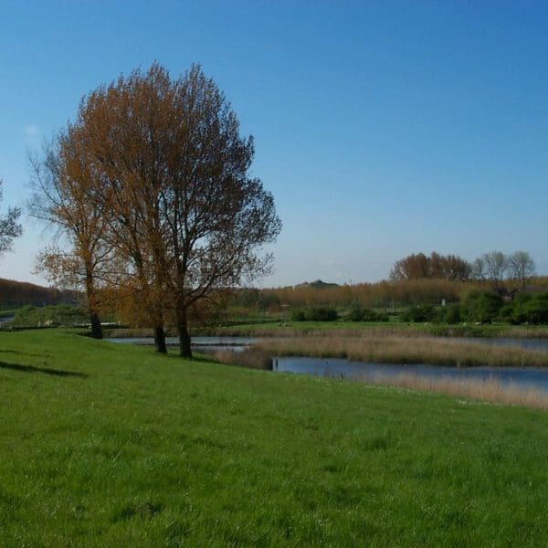 Kunstfort voor de restauratie