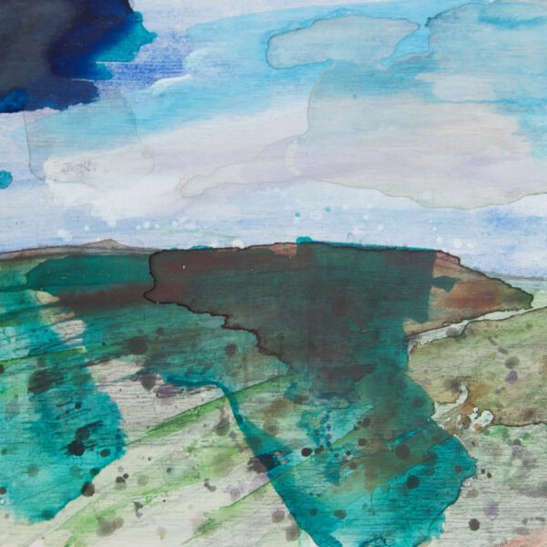 Syncope schilderij 14 heuvel documentaire installatie figuratie compositie