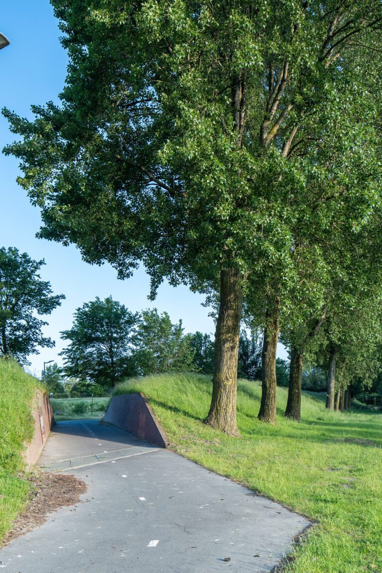 Beeldpaneel Kanon langs de Geniedijk met doorgang door de dijk en moderne kantoorgebouwen op de achtergrond