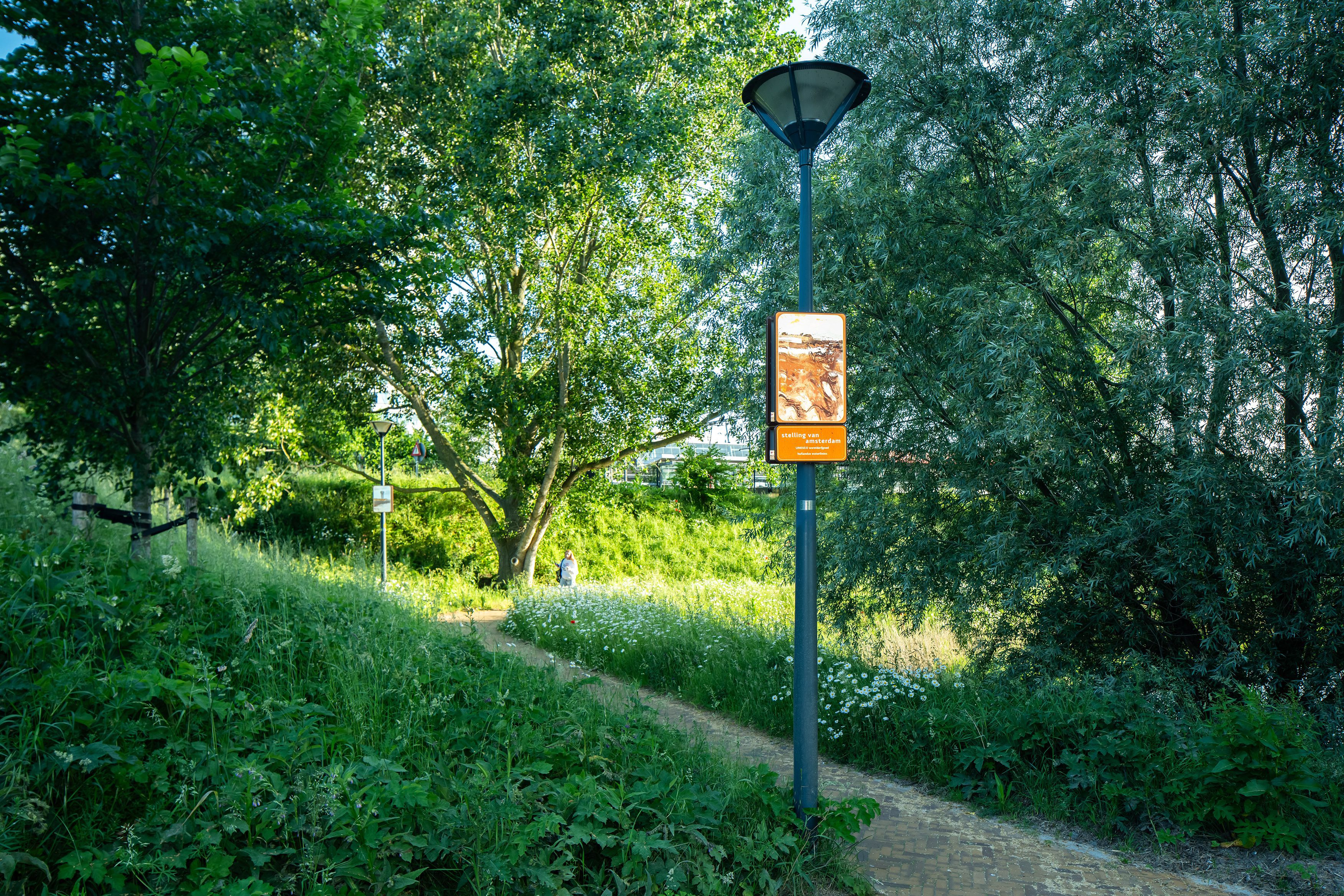 Beeldpaneel Modder en water langs het wandelpad op de Geniedijk tussen bomen en ruige begroeiing