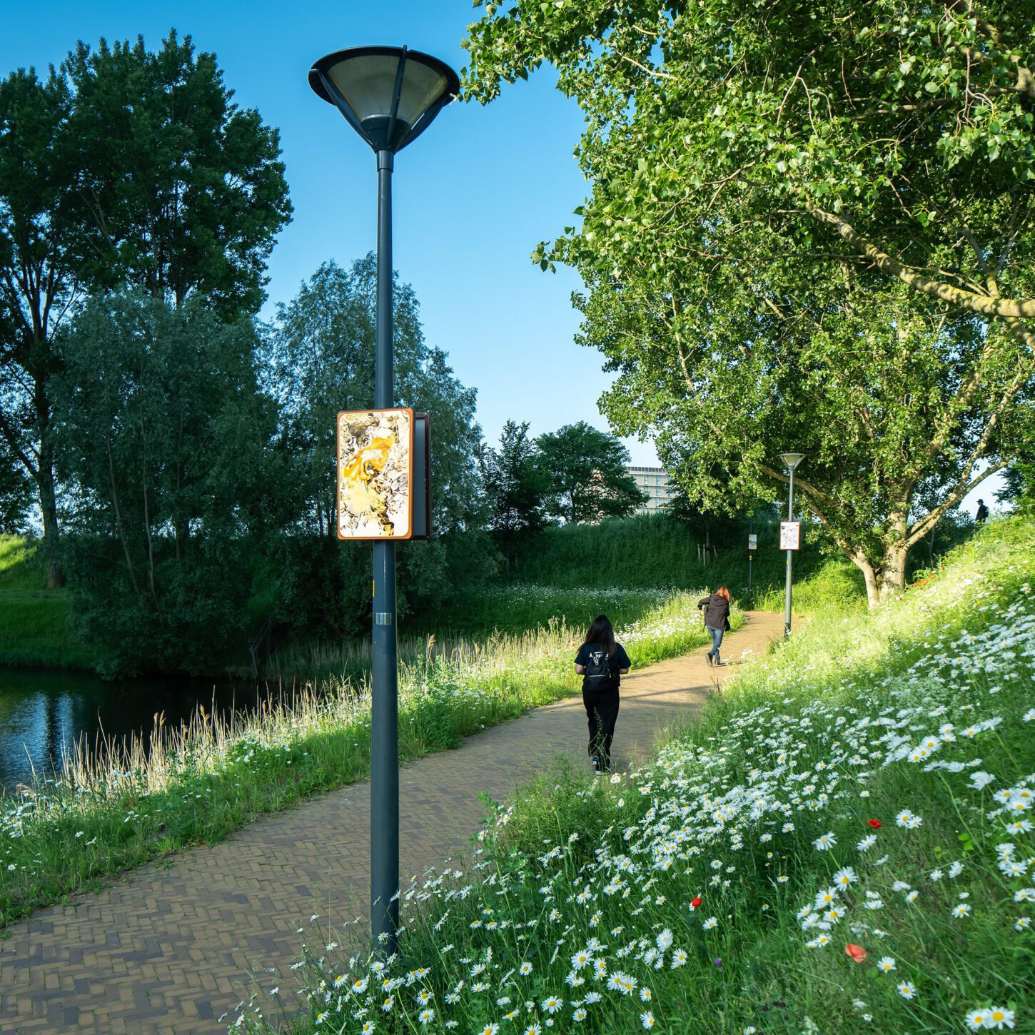 Beeldpaneel De vos langs de Geniedijk met wandelpad, water, bloemen, wandelaars en landschap van de Stelling van Amsterdam