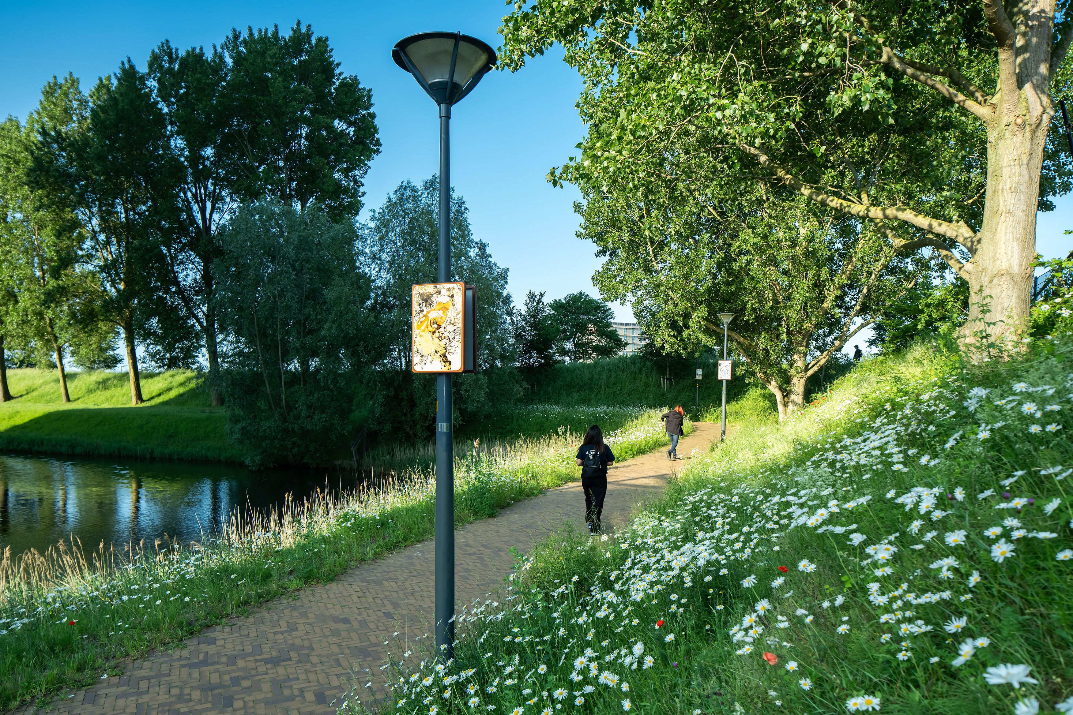Beeldpaneel De vos langs de Geniedijk met wandelpad, water, bloemen, wandelaars en landschap van de Stelling van Amsterdam